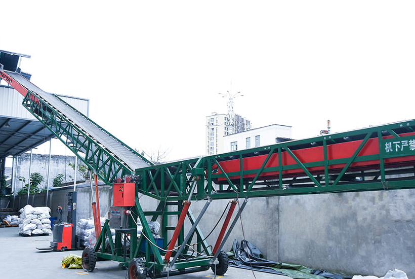 propesyonal na konsultasyon